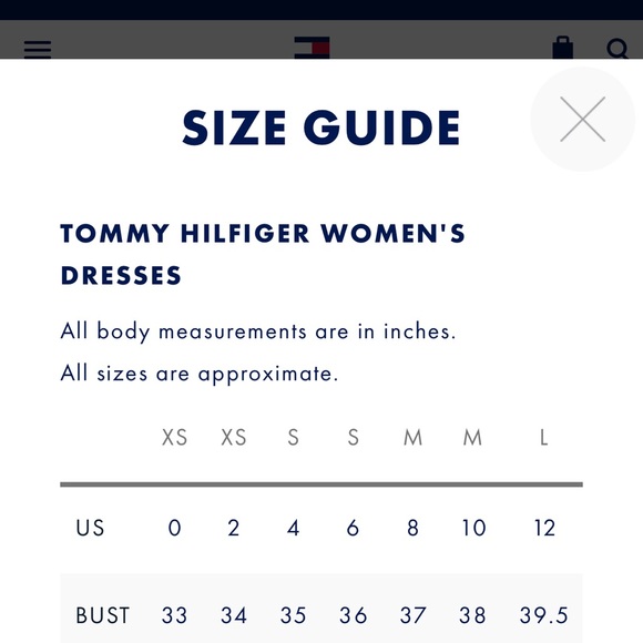 NWT TOMMY HILFIGER CLASSIC FLAG T-SHIRT DRESS - Picture 8 of 8